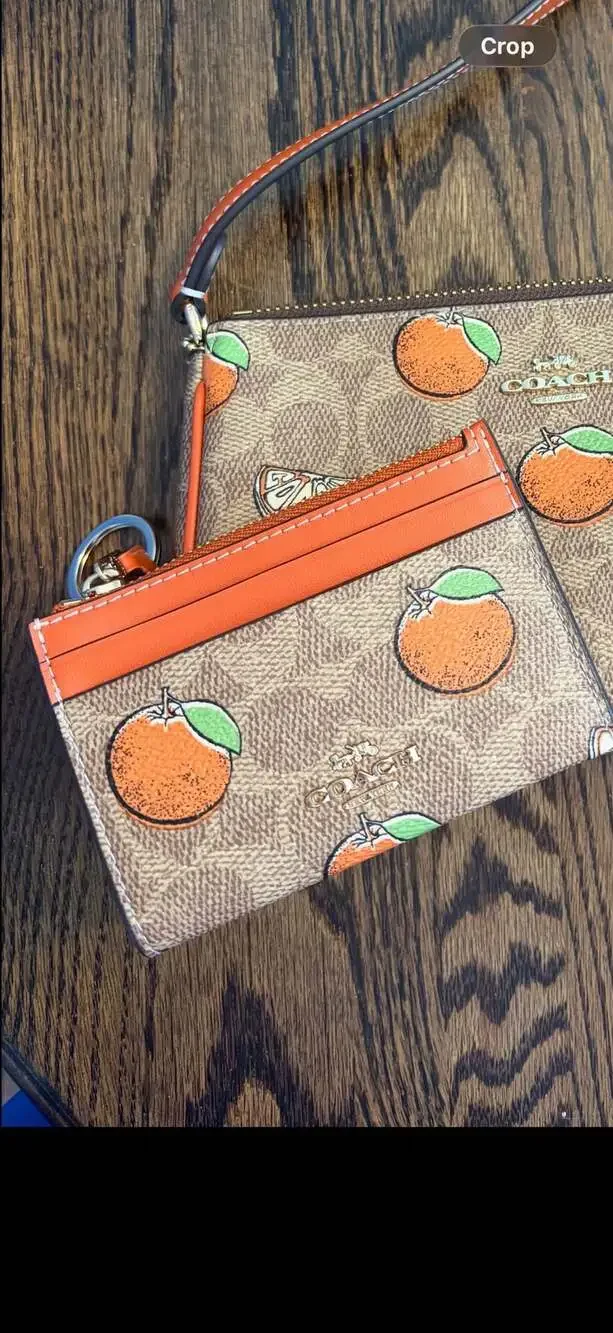 Coach zip card
